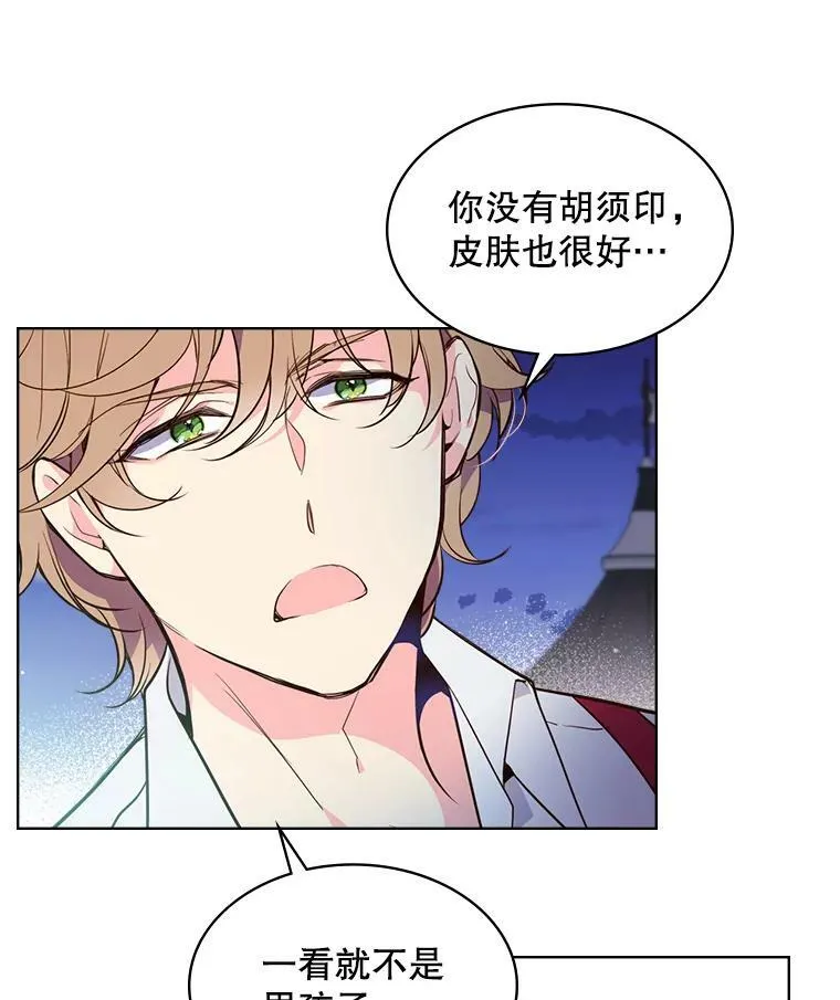 28.俊俏的男孩子 第51页