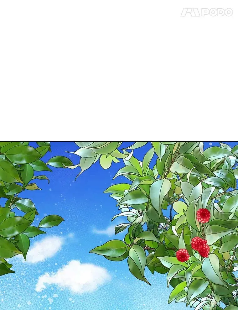 35.缝制新衣 第15页