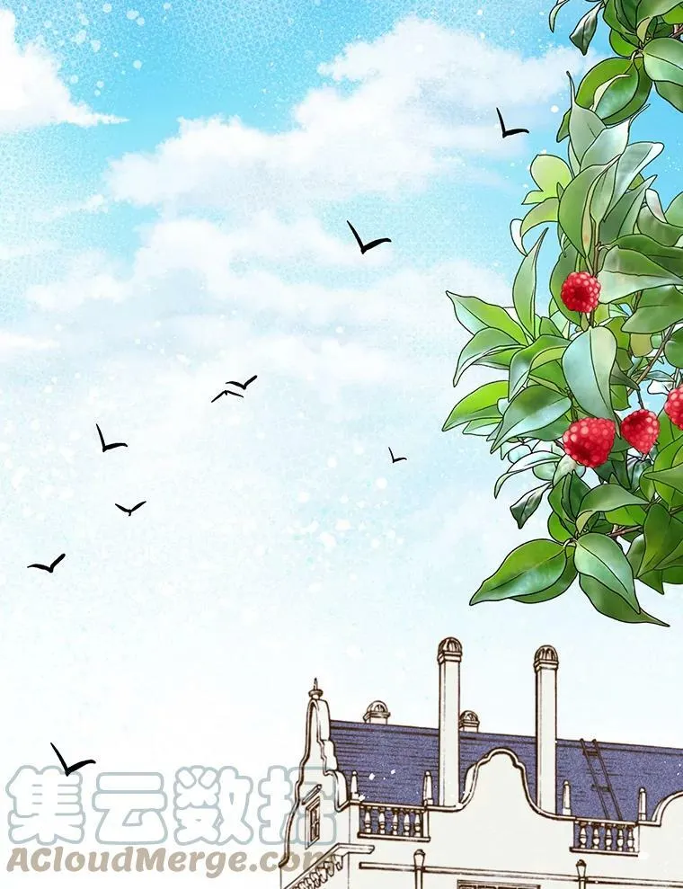35.缝制新衣 第16页