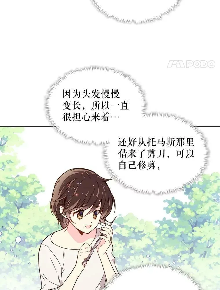 35.缝制新衣 第41页