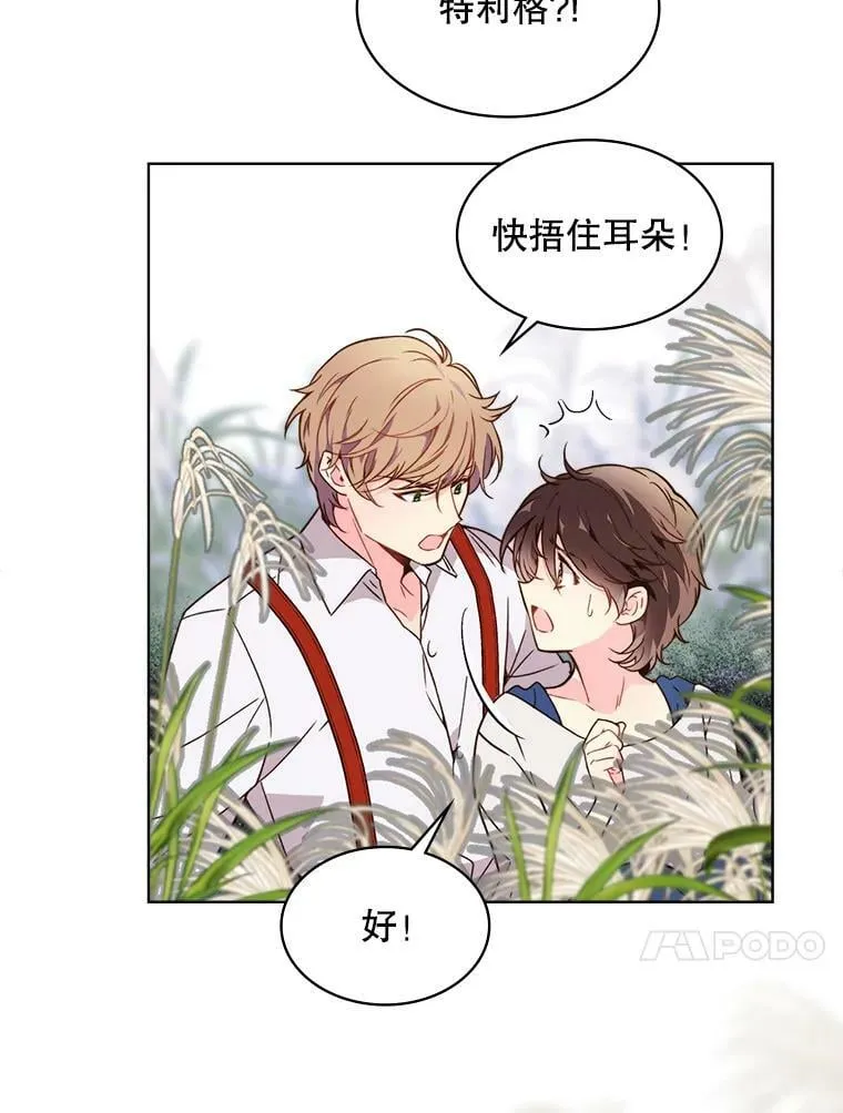 37.盗贼团伙（1） 第60页