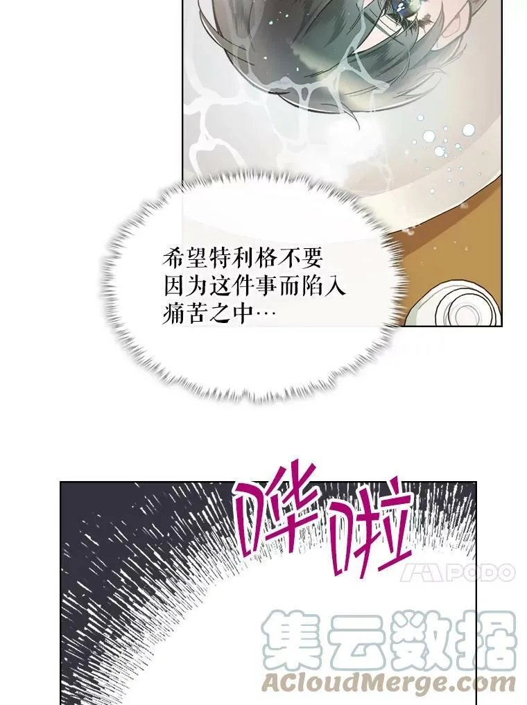 45.访问领地（3） 第17页