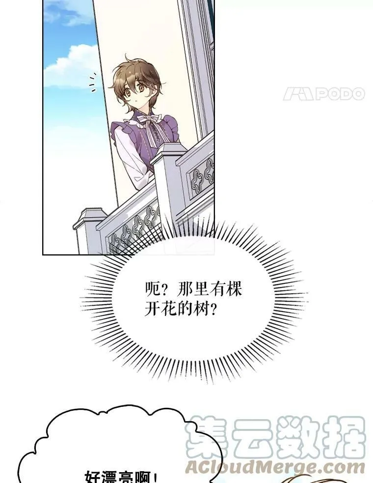 45.访问领地（3） 第93页