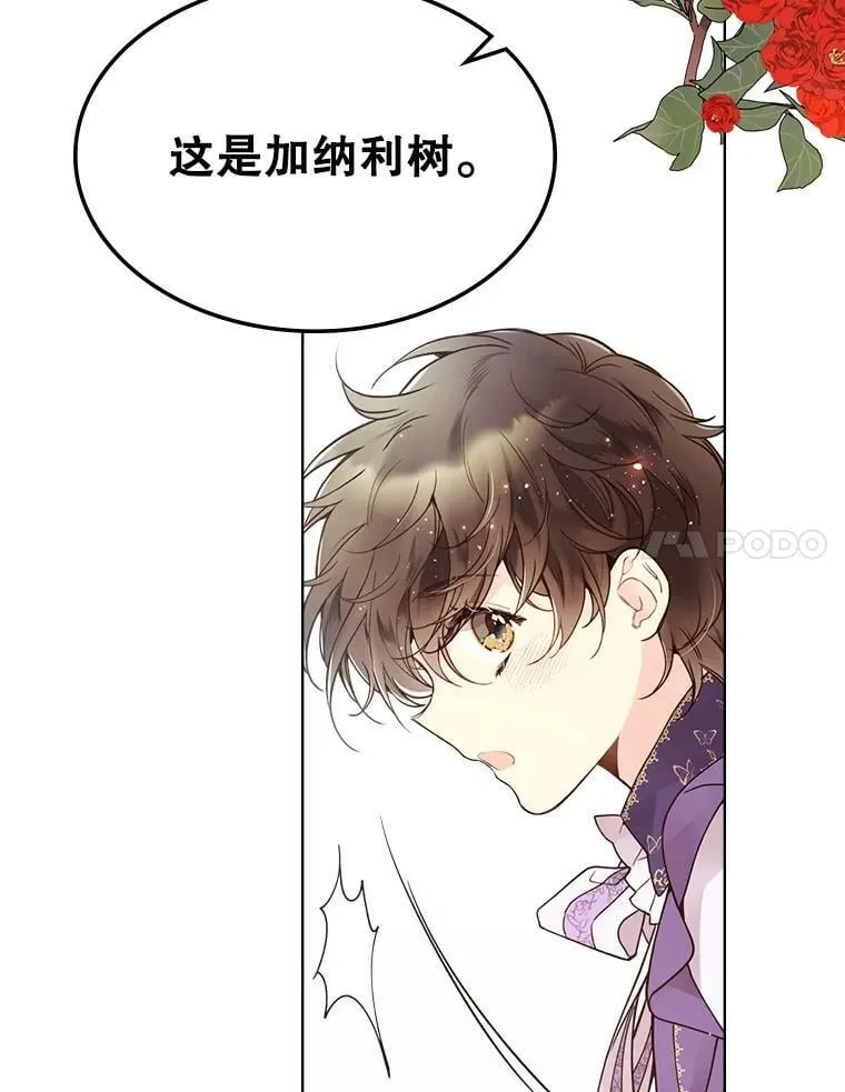 45.访问领地（3） 第96页