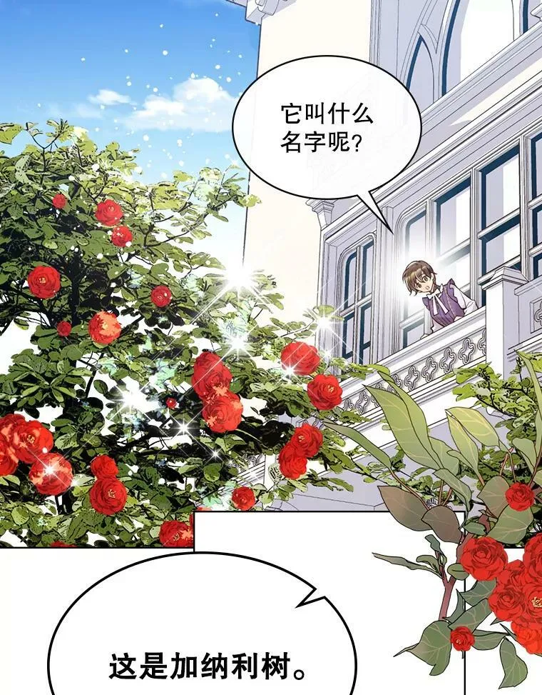 46.访问领地（4） 第3页