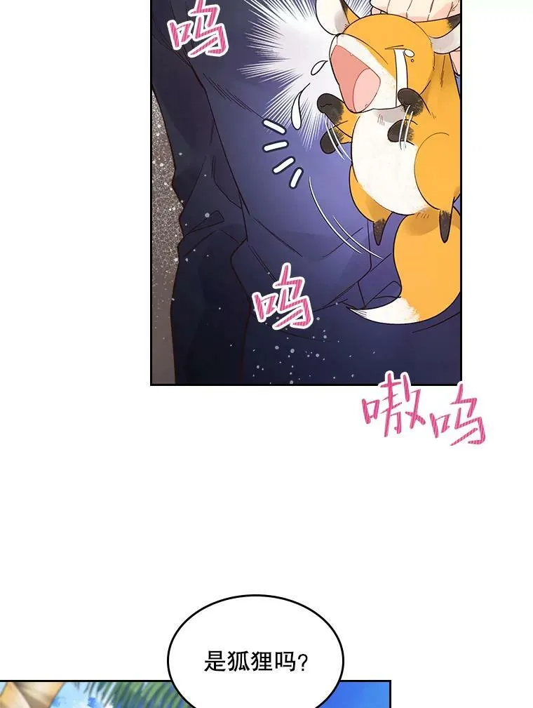 50.小狐狸 第14页