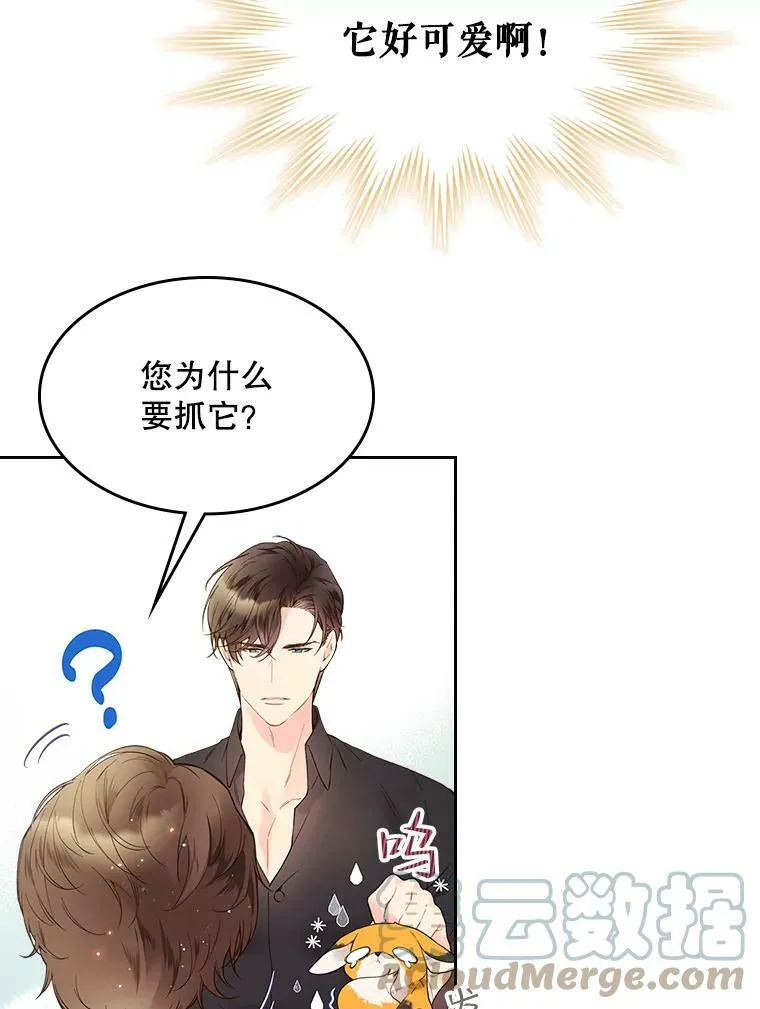 50.小狐狸 第16页