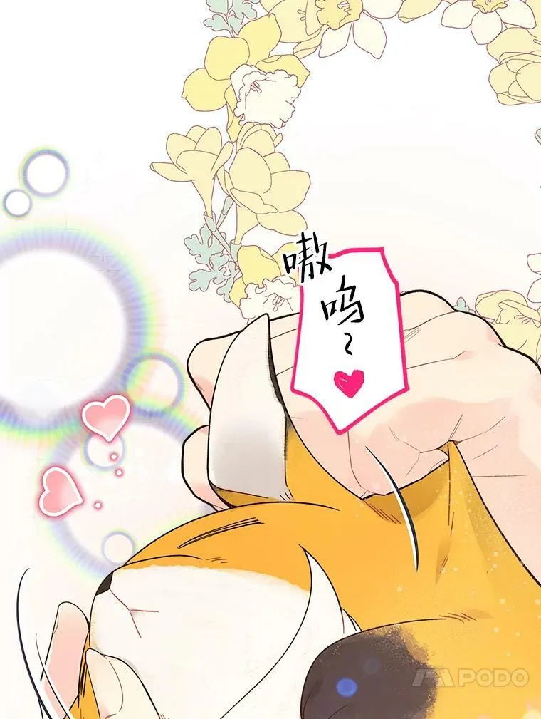 50.小狐狸 第21页