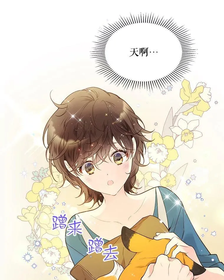 50.小狐狸 第23页