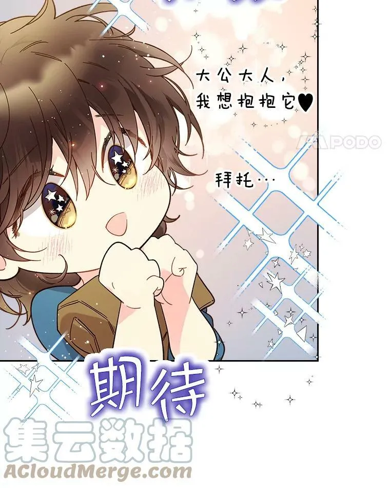 50.小狐狸 第25页