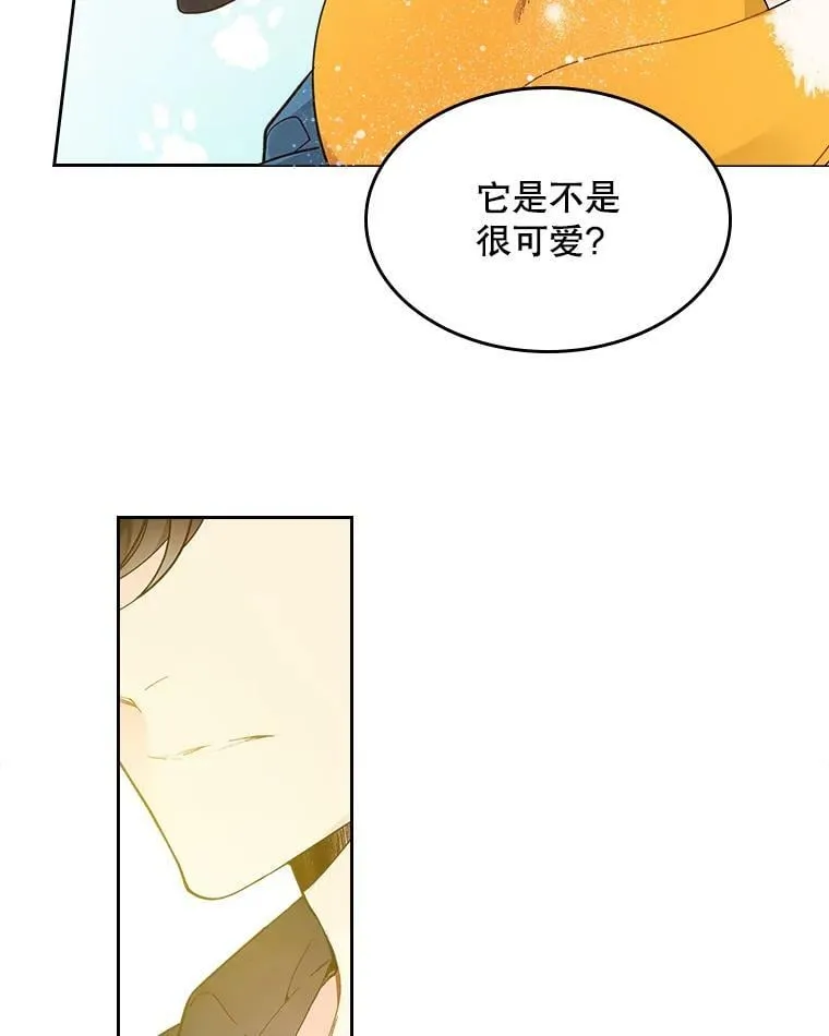50.小狐狸 第30页