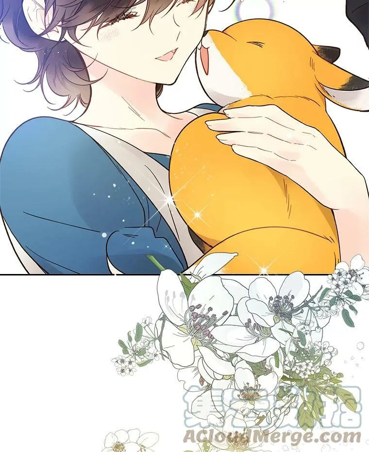50.小狐狸 第37页