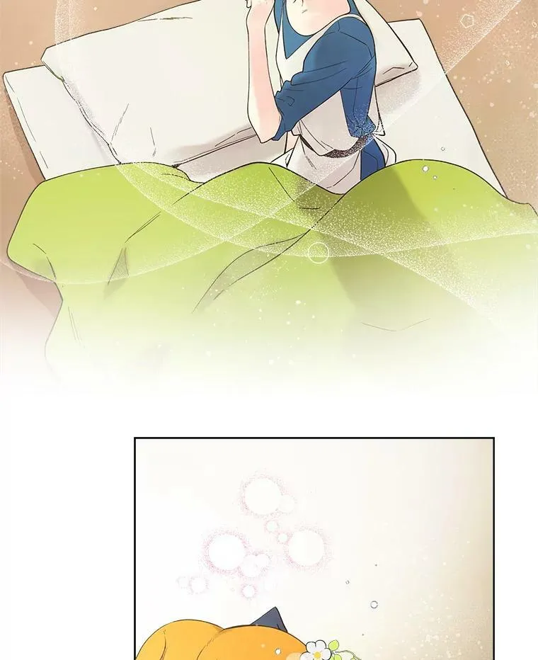 50.小狐狸 第41页