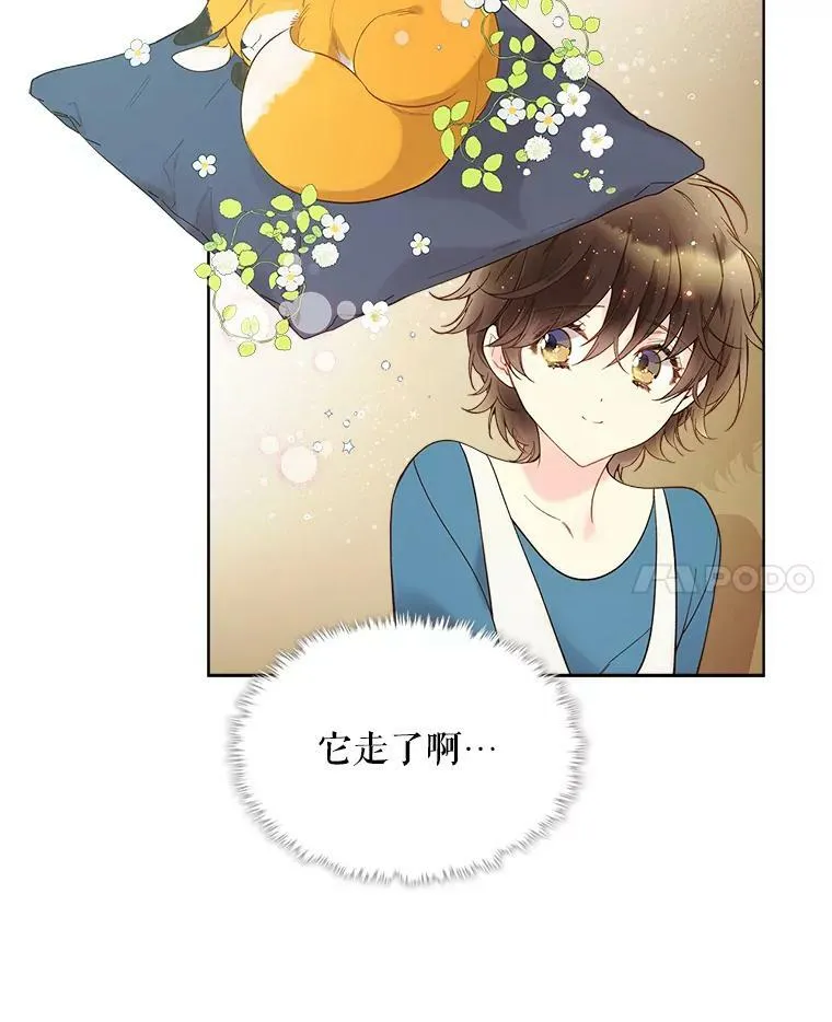 50.小狐狸 第42页