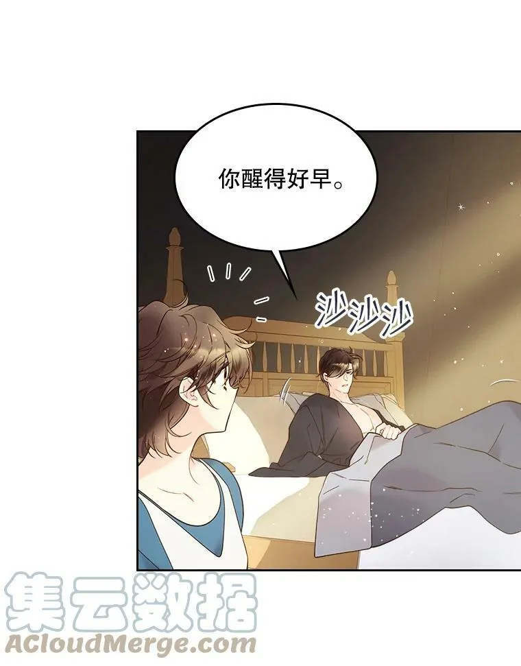 50.小狐狸 第43页