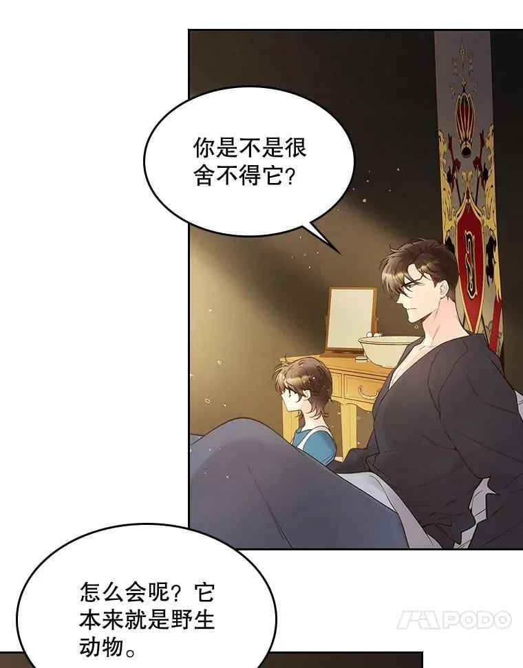 50.小狐狸 第45页