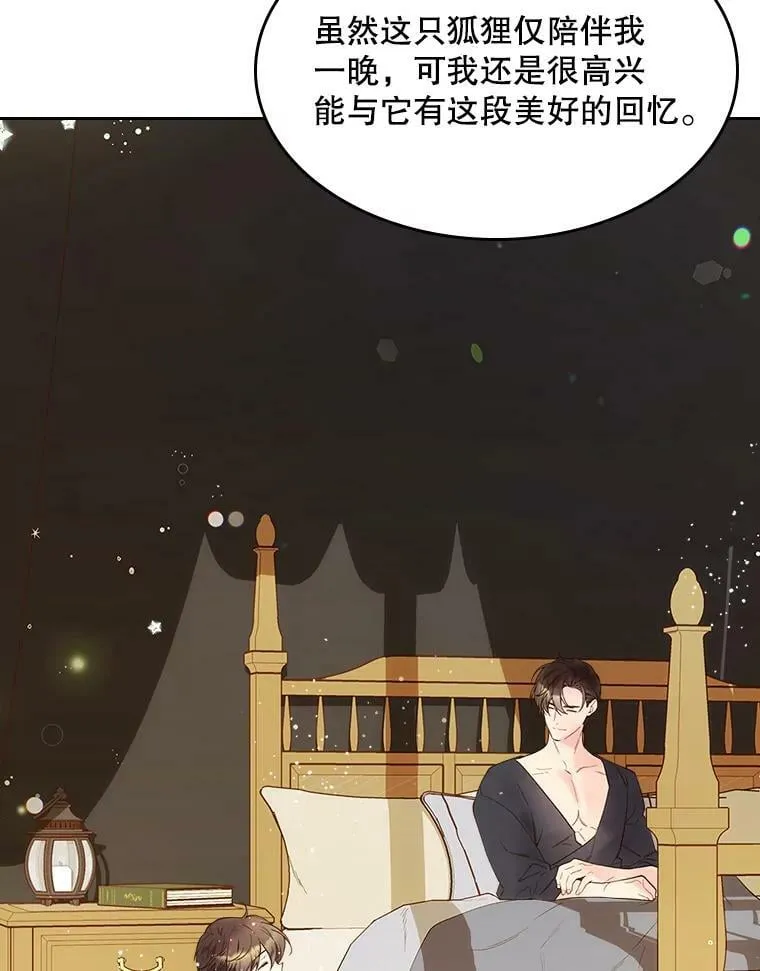 50.小狐狸 第47页