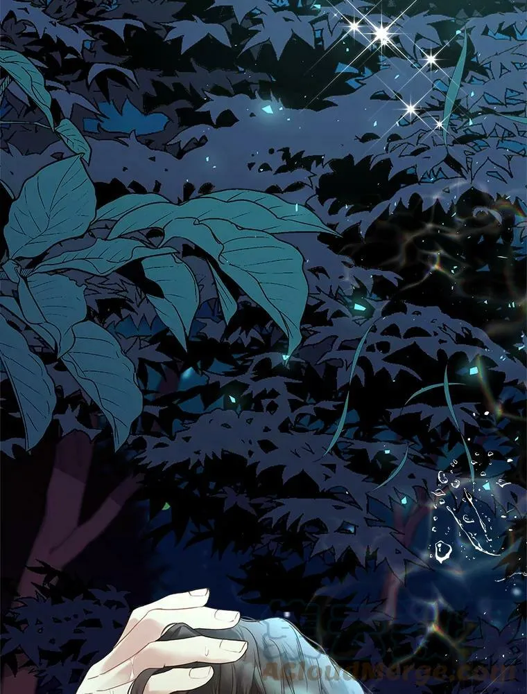 61.喜欢（1） 第73页