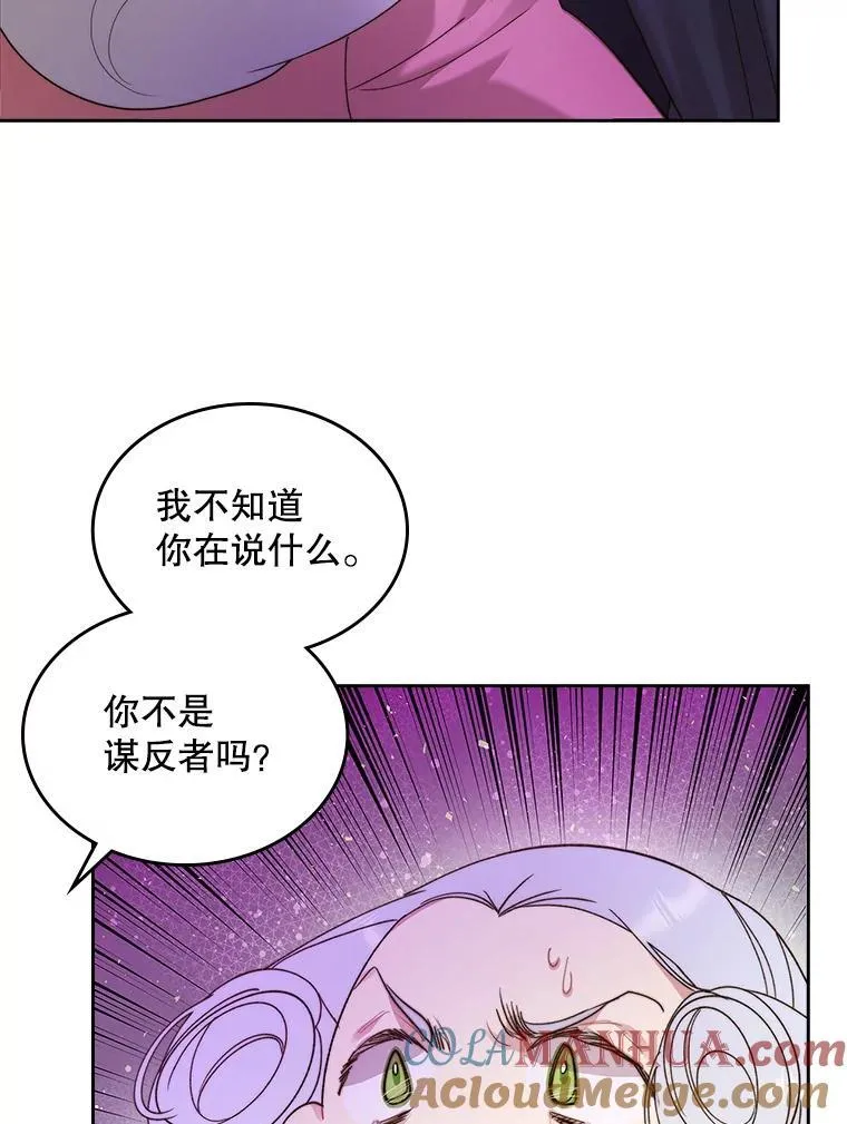 95.反叛者 第77页