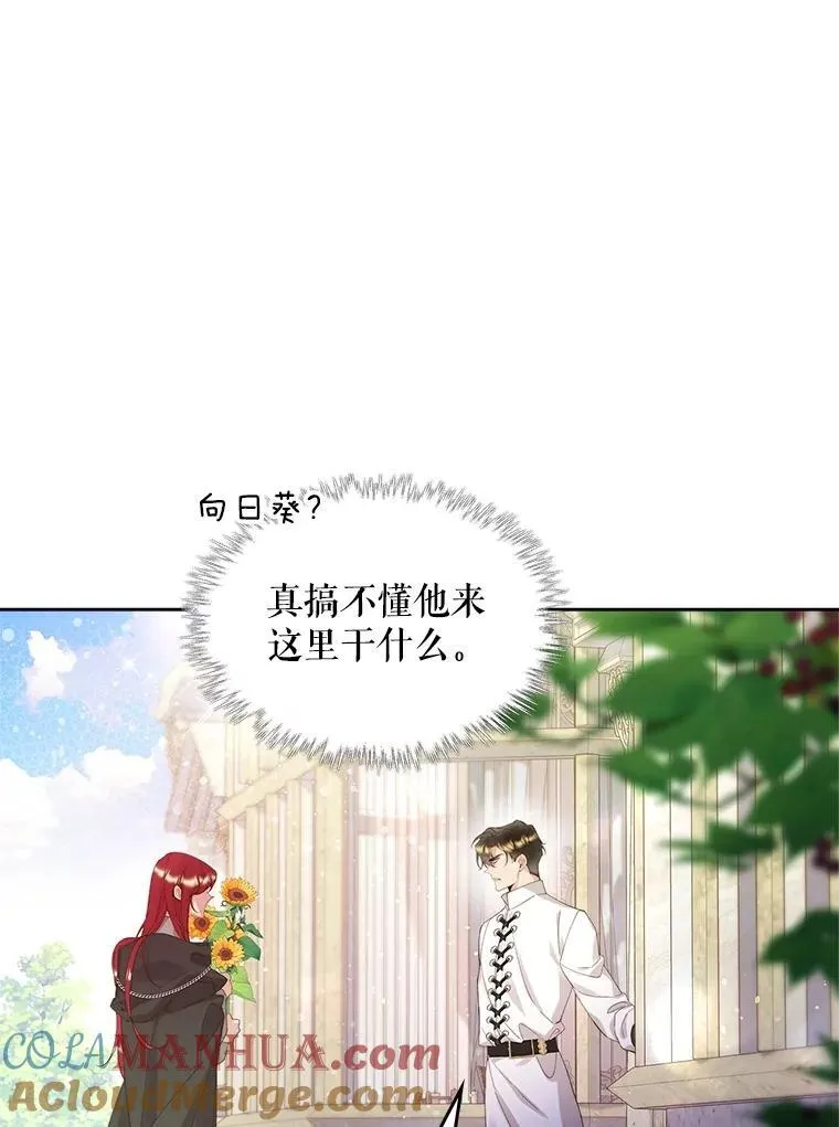 96.又见里奥 第85页