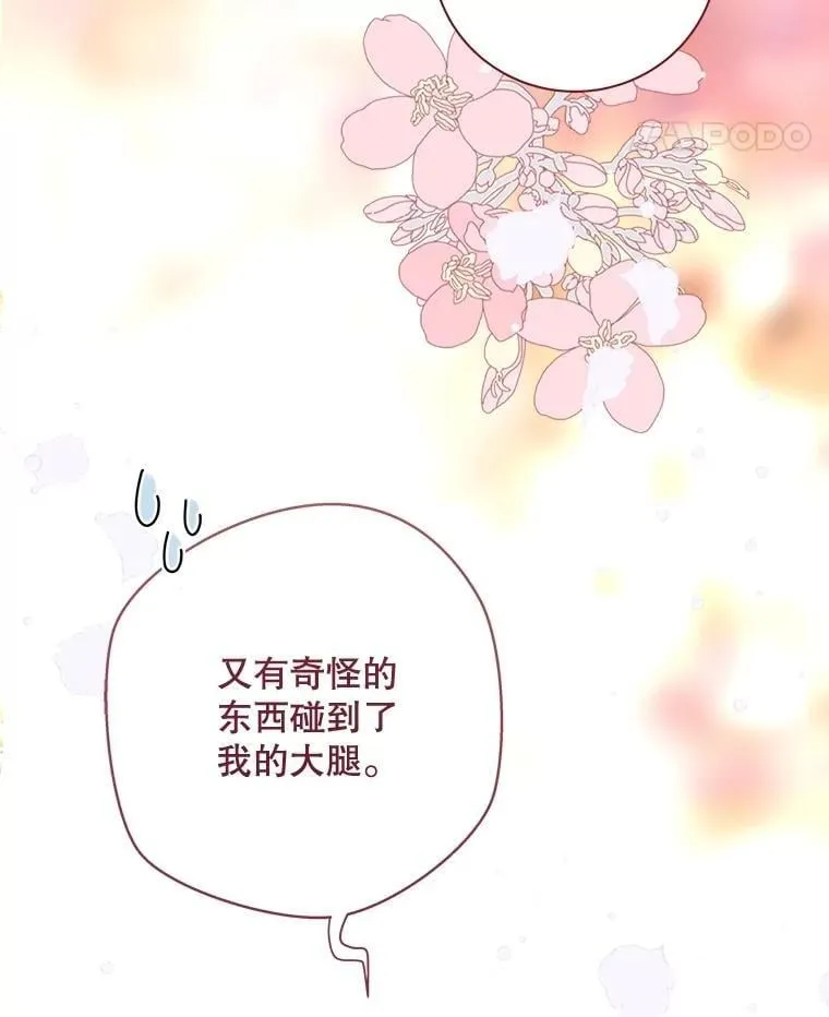 116.重大决定 第38页