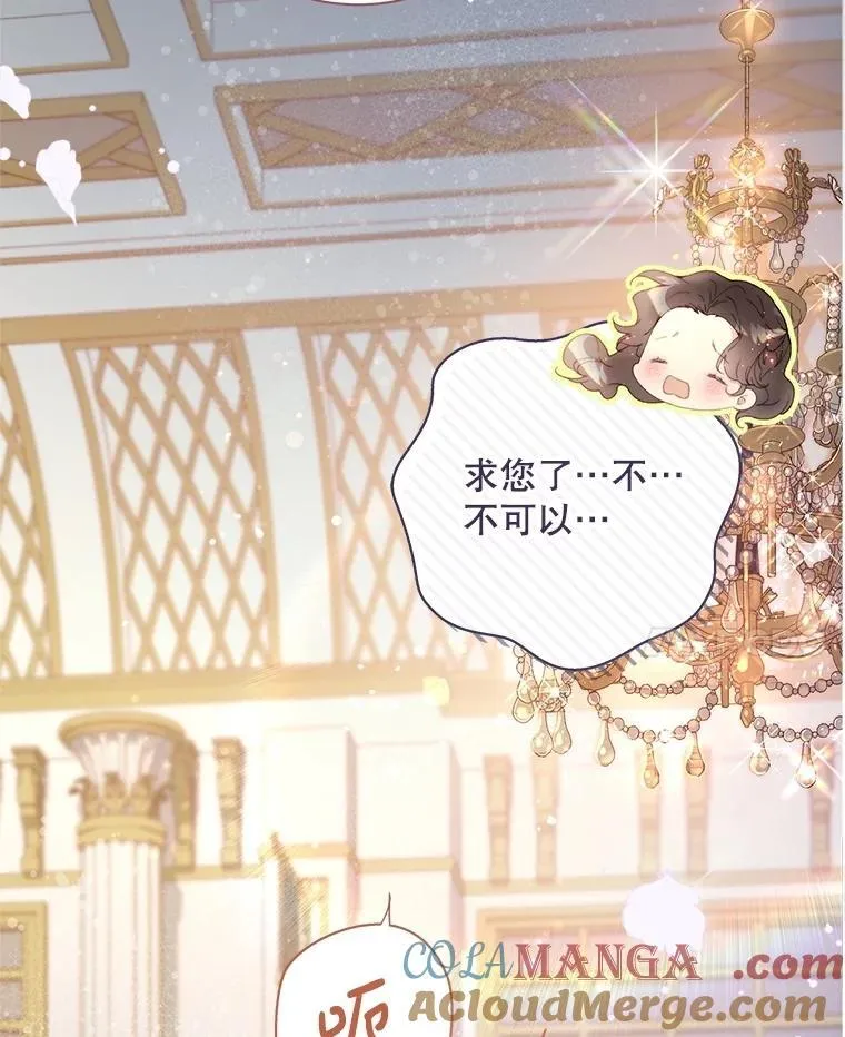 116.重大决定 第41页