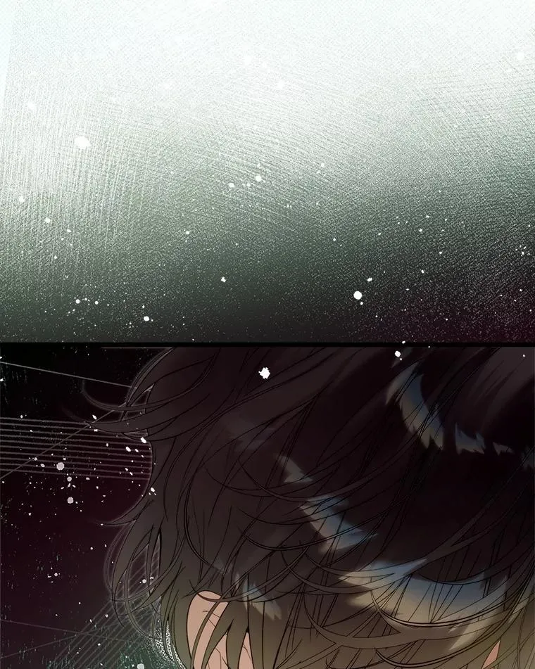 134.双胞胎？ 第119页