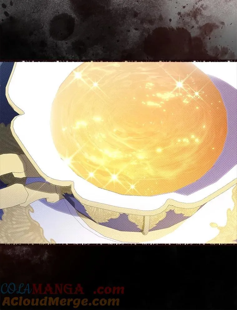 134.双胞胎？ 第129页