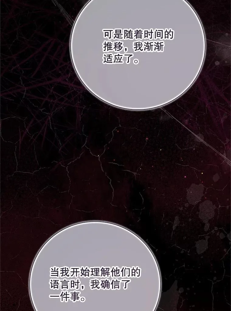 135.坦白前世 第96页