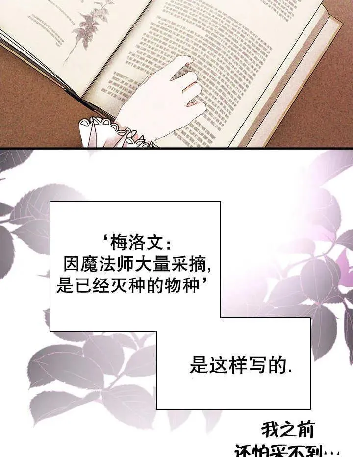 第47话 第51页