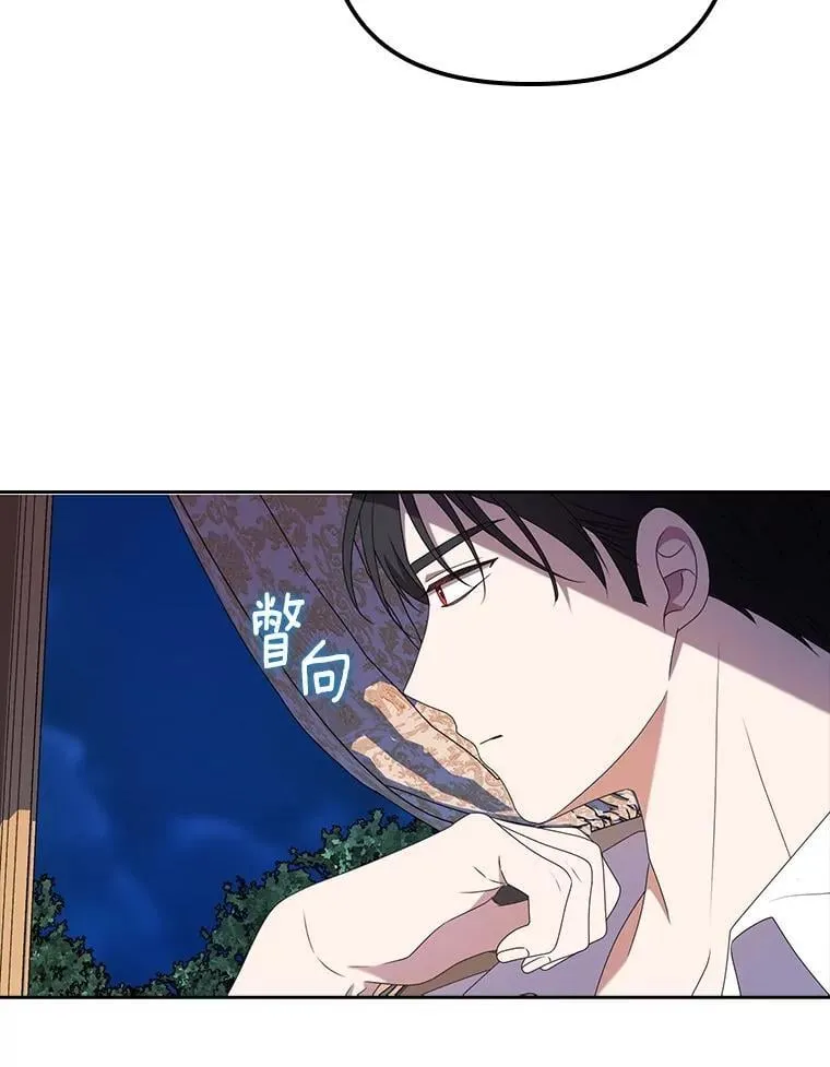 40.回到府邸 第29页