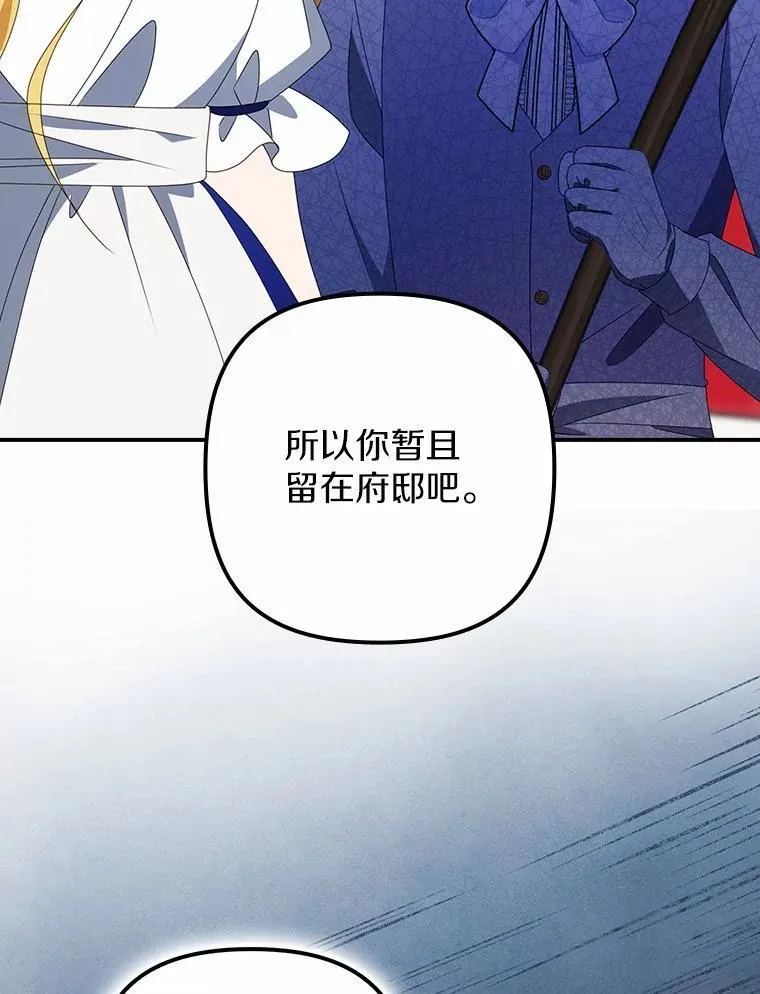 49.初步计划 第114页