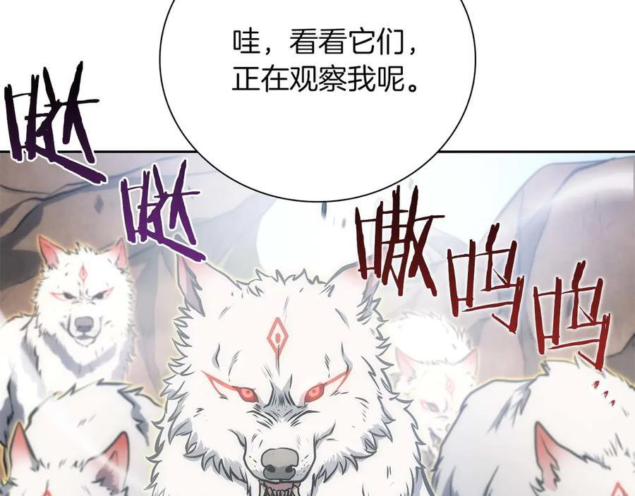 第22话 小鸡军团VS狼群 第15页
