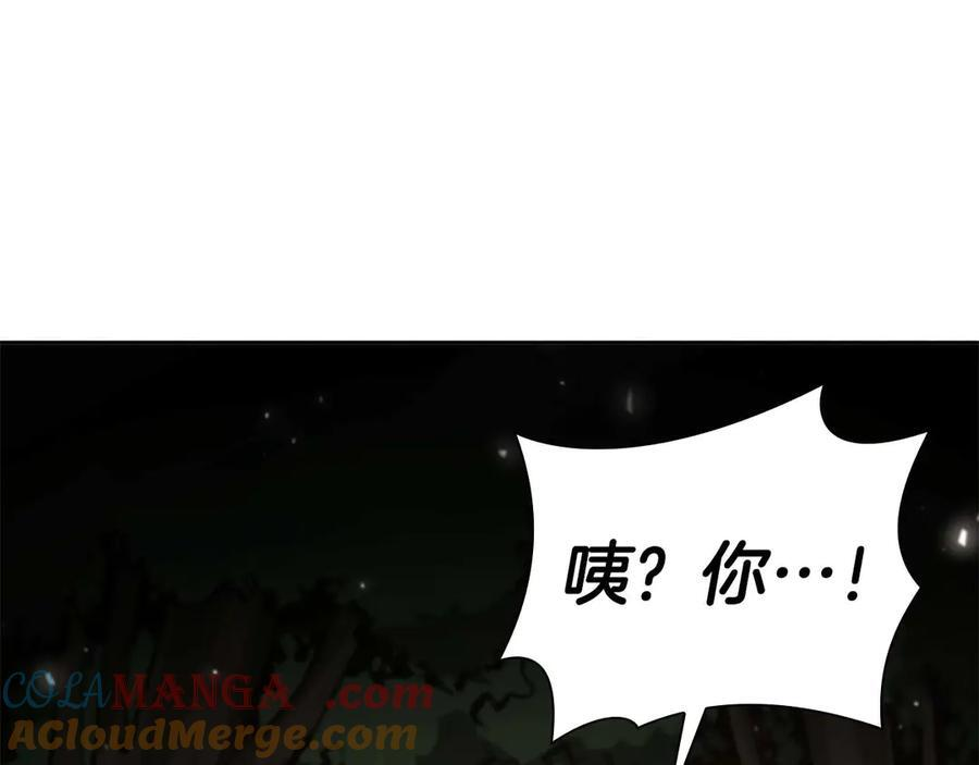 第46话 拥有的装备已经菠萝菠萝哒 第265页