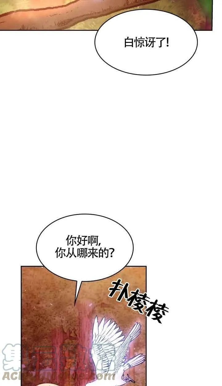 第36话 第31页