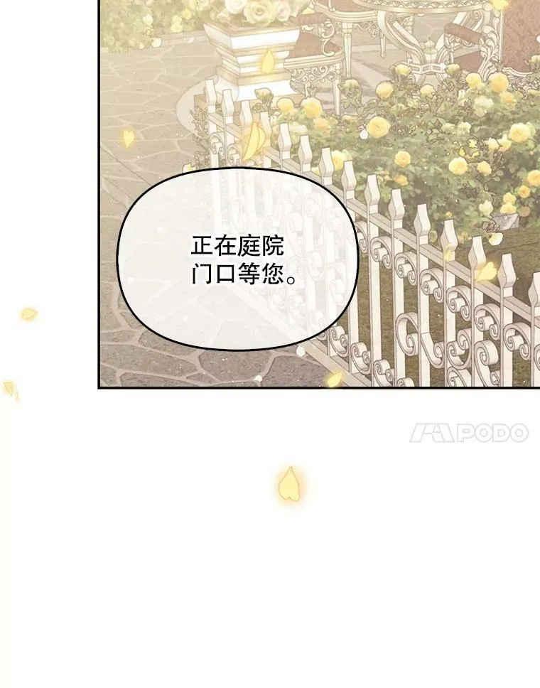 67.定做礼服 第67页