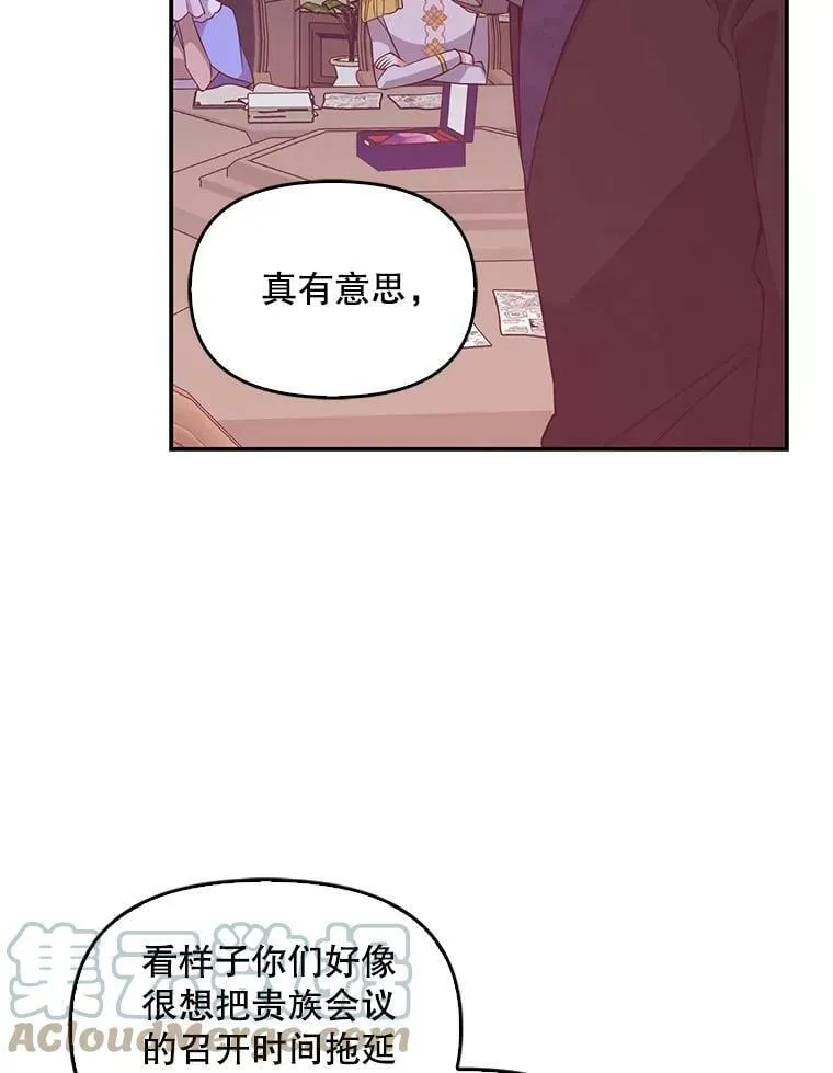 58.贵族会议 第13页