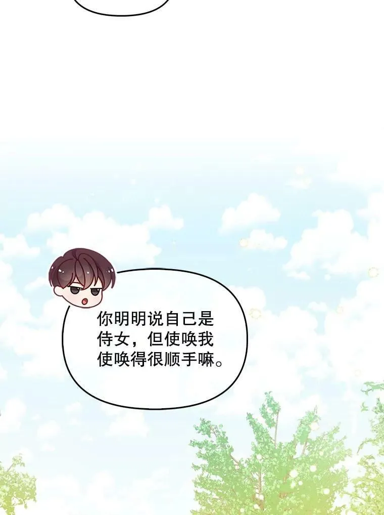 95.佣人和侍女 第28页