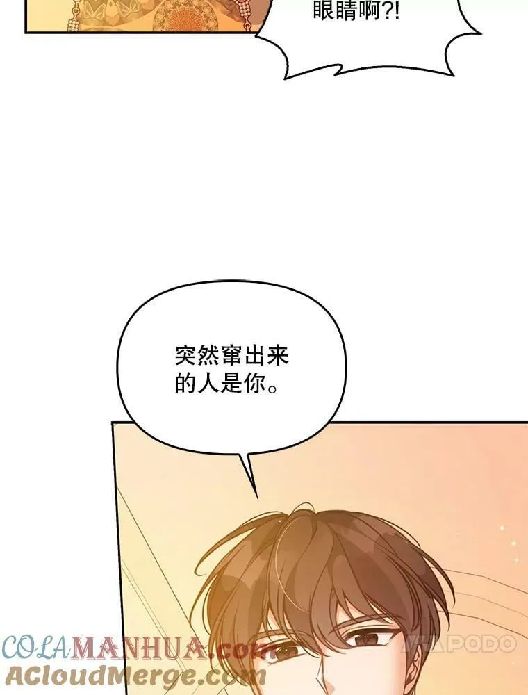 95.佣人和侍女 第53页