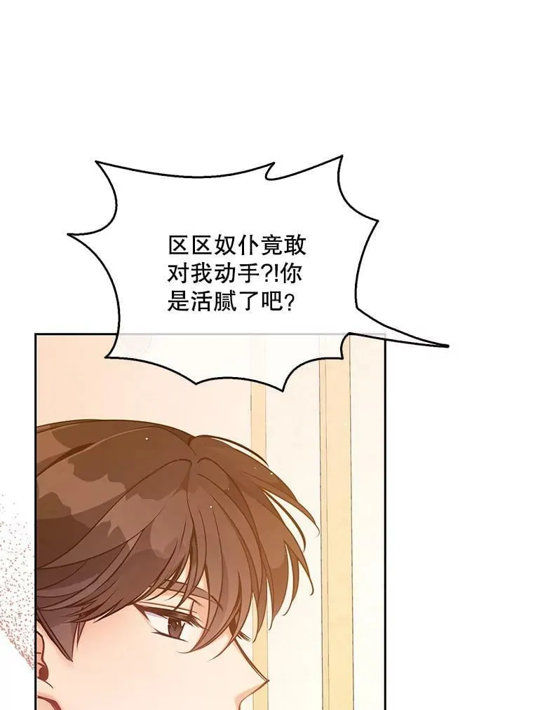 95.佣人和侍女 第67页