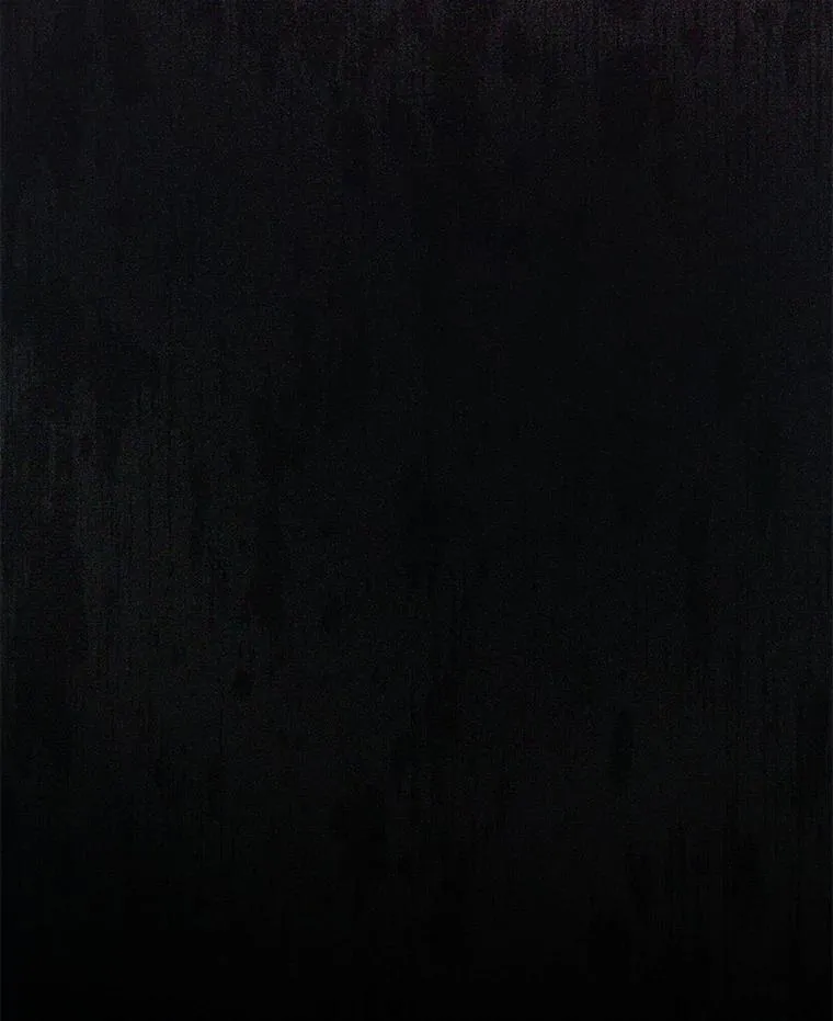 103.黑之圣女 第99页