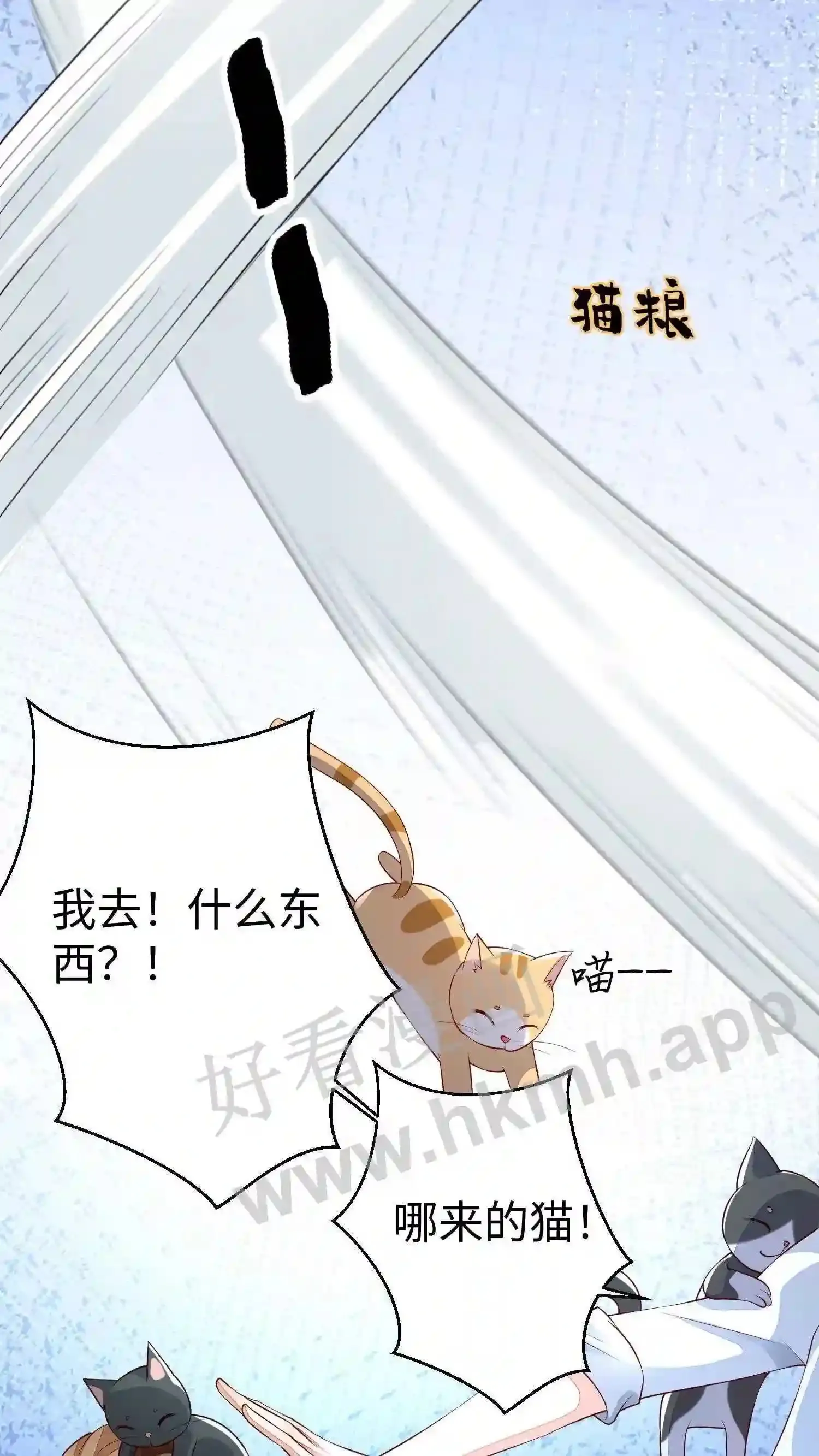 第23话 生日快乐 第17页