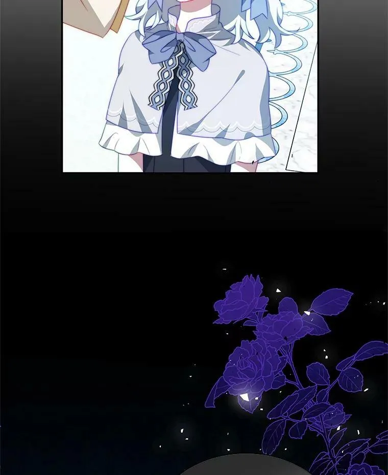 11.精灵 第35页