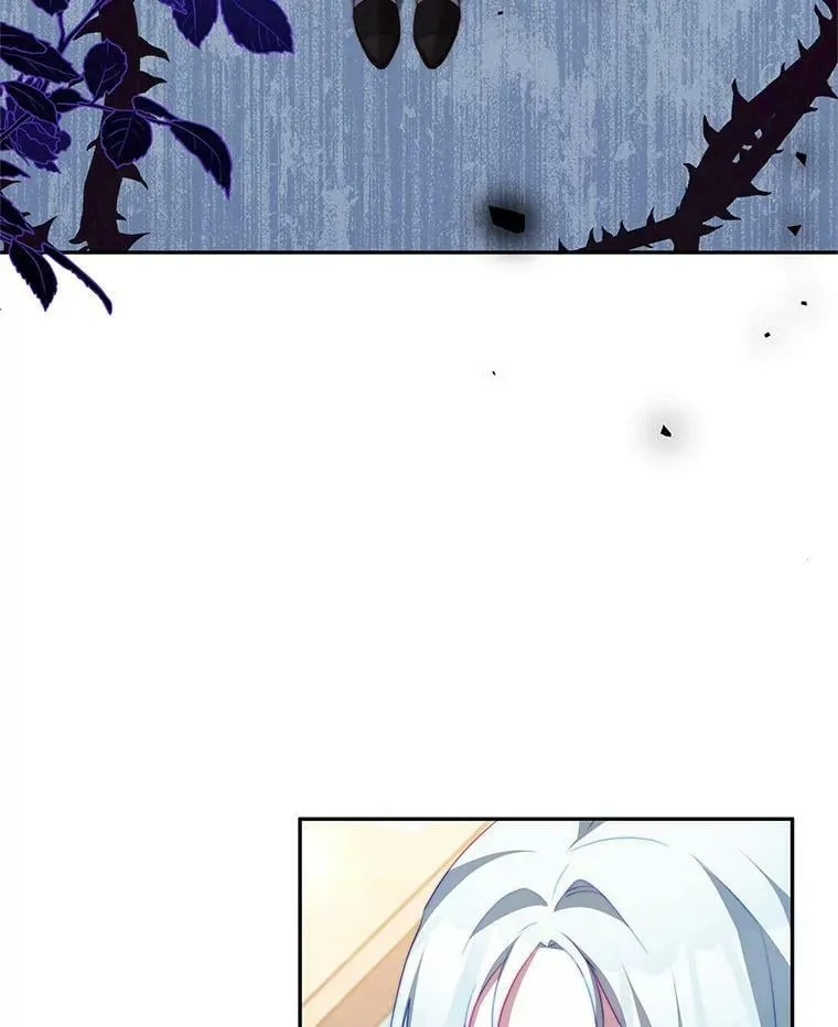 11.精灵 第39页