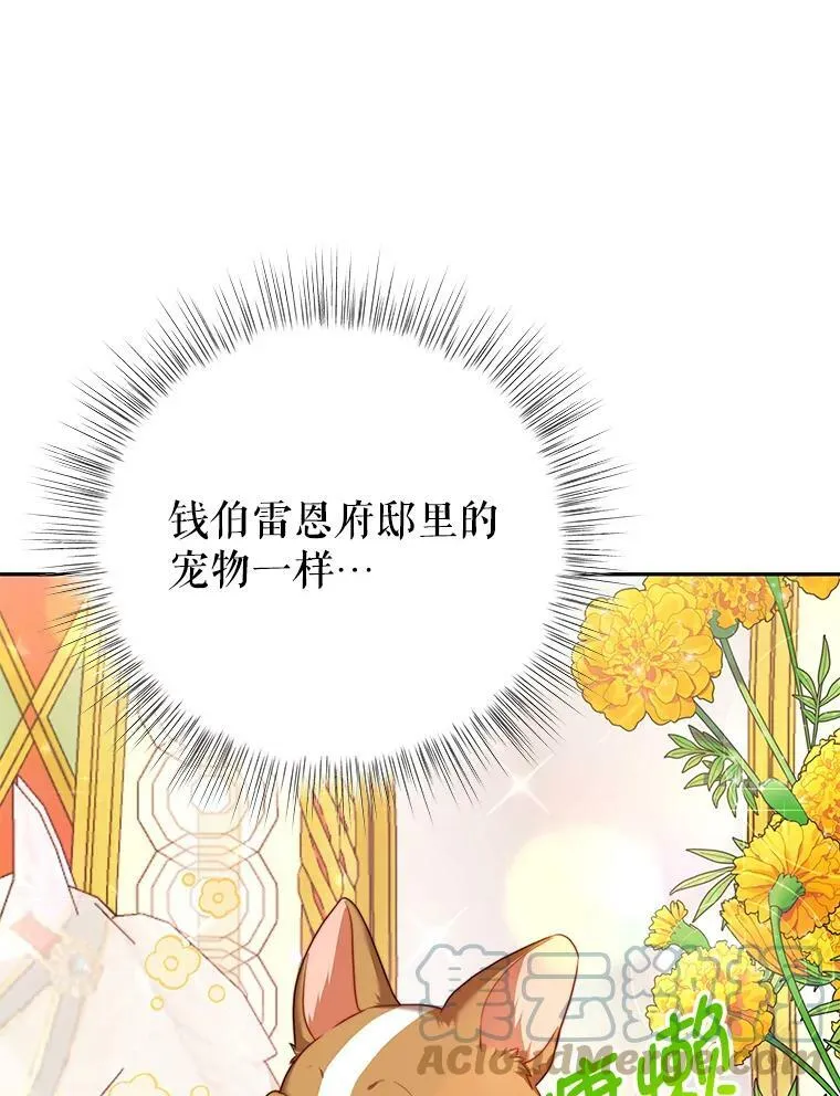 14.情敌？ 第73页