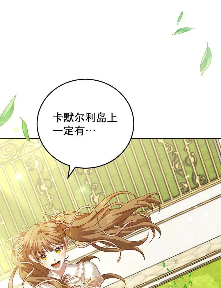 16.卡默利岛（1） 第111页