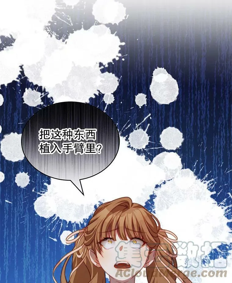 17.卡默利岛（2） 第25页