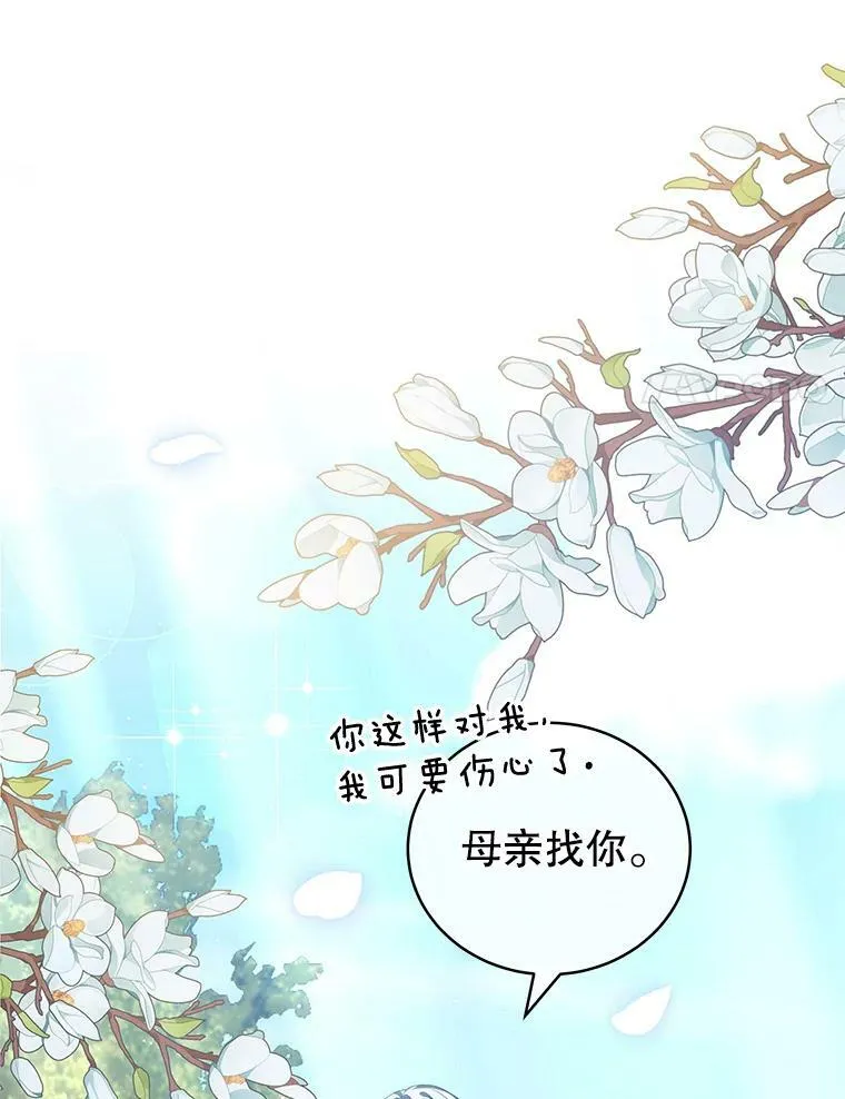 17.卡默利岛（2） 第66页