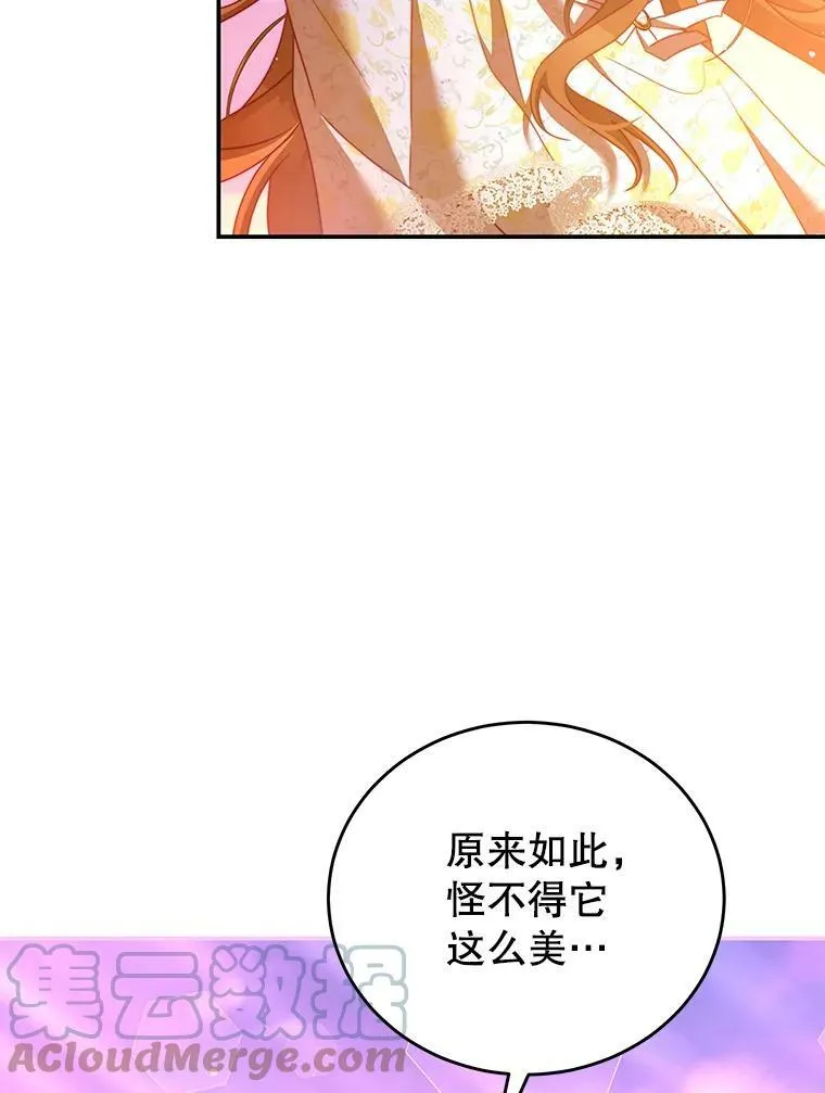 38.看海 第29页