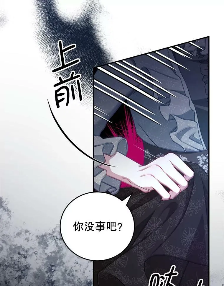 41.开启征服之战 第14页